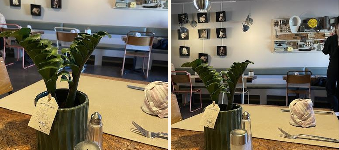 Restaurant Le Capricorne - Gallery Image 2